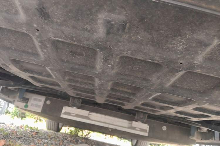 Used ORA Good Cat 2023 401 km Standard Range Luxury Version Lithium Iron Phosphate Chassis Rear