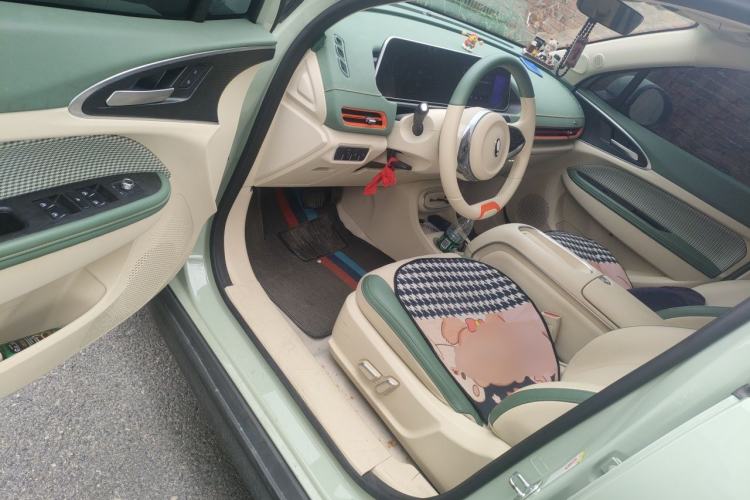 Used ORA Good Cat 2023 401 km Standard Range Luxury Version Lithium Iron Phosphate Driver Seat