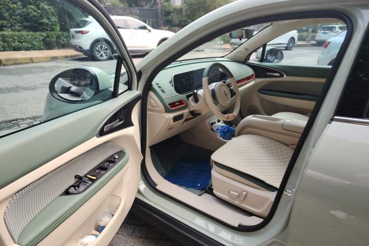Used ORA Good Cat 2023 401 km Standard Range Comfort Version Lithium Iron Phosphate Driver Seat