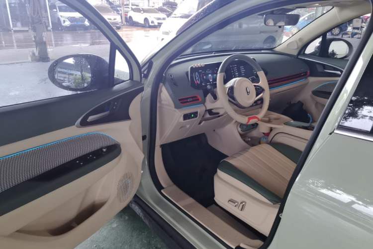 Used ORA Good Cat 2023 401 km Standard Range Luxury Version Lithium Iron Phosphate Driver Seat