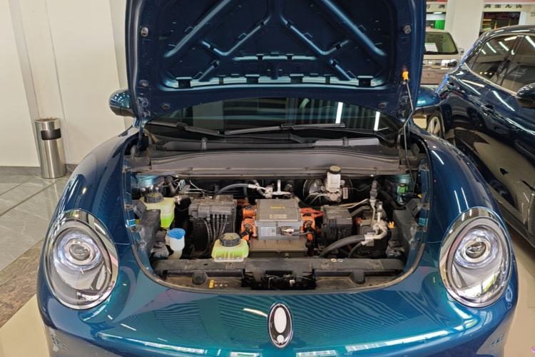 Used ORA Good Cat 2023 501 km Long-Range Premium Version Lithium Iron Phosphate Engine Bay