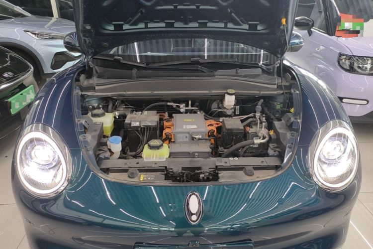 Used ORA Good Cat 2023 401 km Standard Range Premium Version Lithium Iron Phosphate Engine Bay