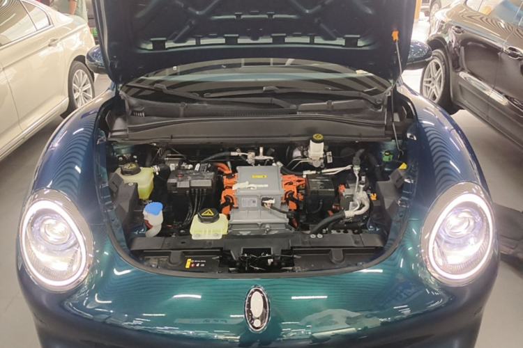 Used ORA Good Cat 2023 401 km Standard Range Premium Version Lithium Iron Phosphate Engine Bay