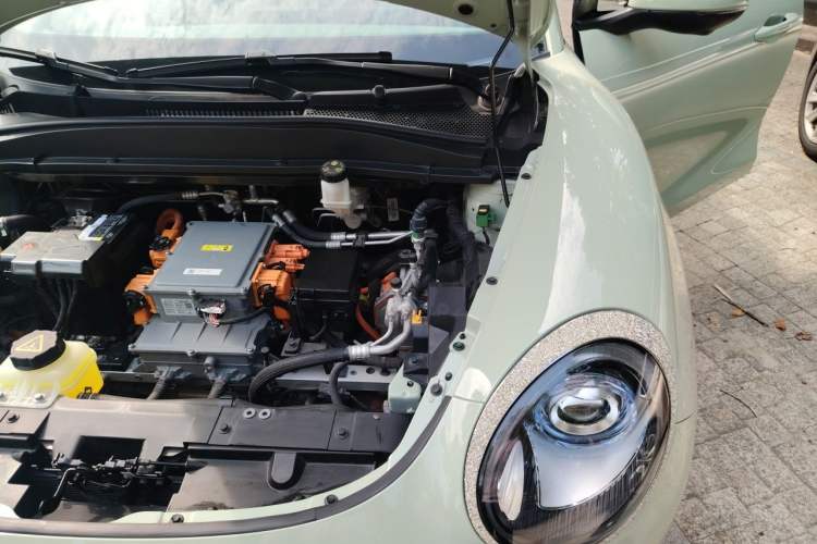 Used ORA Good Cat 2023 401 km Standard Range Comfort Version Lithium Iron Phosphate Engine Bay Left