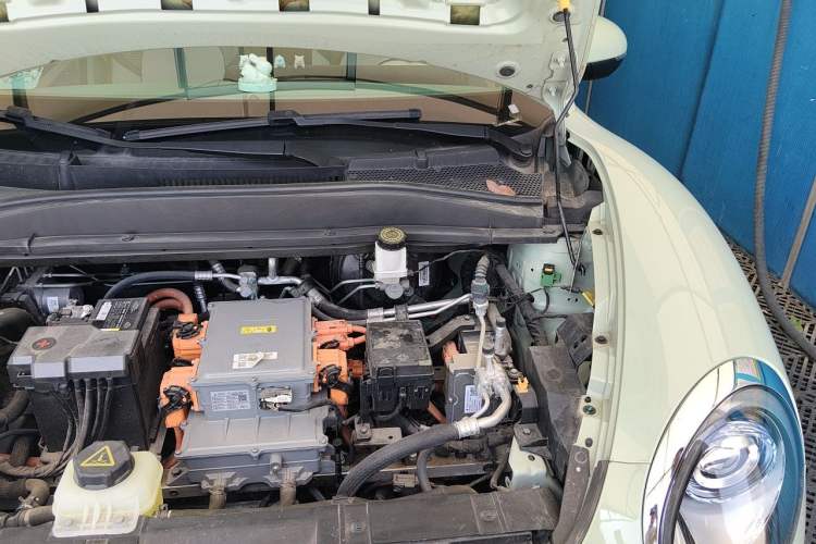 Used ORA Good Cat 2023 401 km Standard Range Luxury Version Lithium Iron Phosphate Engine Bay Left