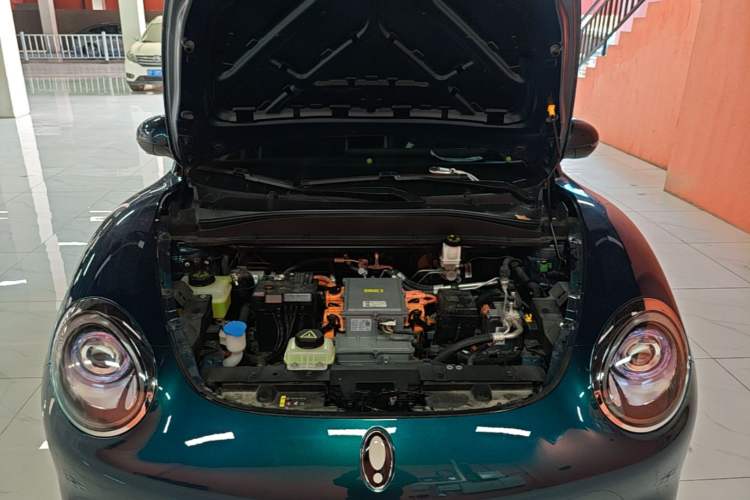Used ORA Good Cat 2023 401 km Standard Range Luxury Version Lithium Iron Phosphate Engine Bay