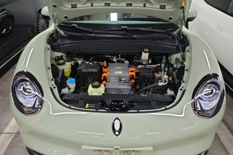 Used ORA Good Cat 2023 401 km Standard Range Premium Version Lithium Iron Phosphate Engine Bay
