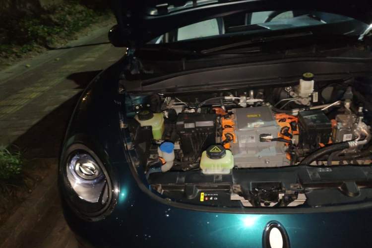 Used ORA Good Cat 2023 401 km Standard Range Premium Version Lithium Iron Phosphate Engine Bay Right