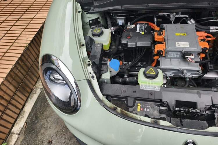 Used ORA Good Cat 2023 401 km Standard Range Luxury Version Lithium Iron Phosphate Engine Bay Right