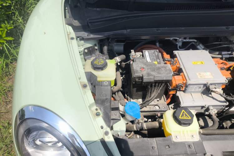 Used ORA Good Cat 2023 401 km Standard Range Premium Version Lithium Iron Phosphate Engine Bay Right