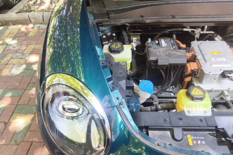 Used ORA Good Cat 2023 401 km Standard Range Luxury Version Lithium Iron Phosphate Engine Bay Right