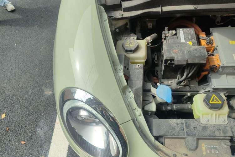 Used ORA Good Cat 2023 401 km Standard Range Premium Version Lithium Iron Phosphate Engine Bay Right