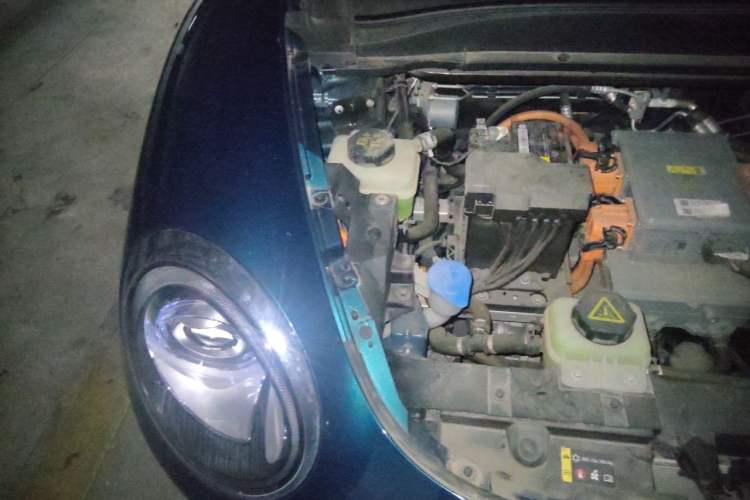 Used ORA Good Cat 2023 401 km Standard Range Luxury Version Lithium Iron Phosphate Engine Bay Right