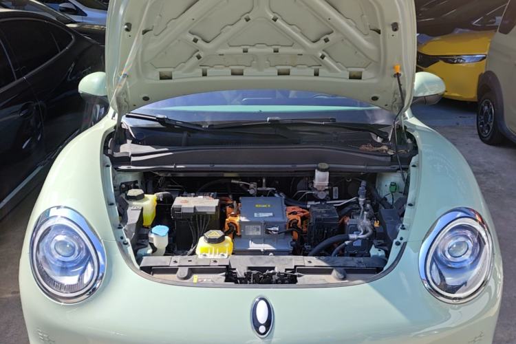 Used ORA Good Cat 2023 401 km Standard Range Luxury Version Lithium Iron Phosphate Engine Bay