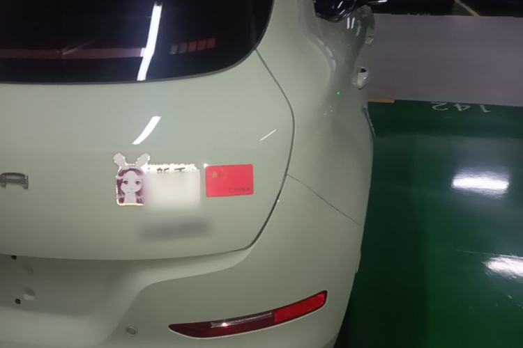 Used ORA Good Cat 2023 401 km Standard Range Premium Version Lithium Iron Phosphate Exterior 3