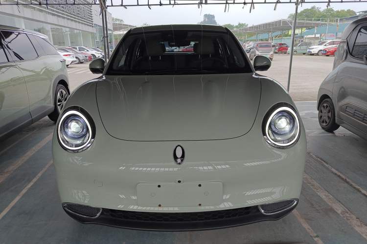 Used ORA Good Cat 2023 401 km Standard Range Luxury Version Ternary Lithium Front