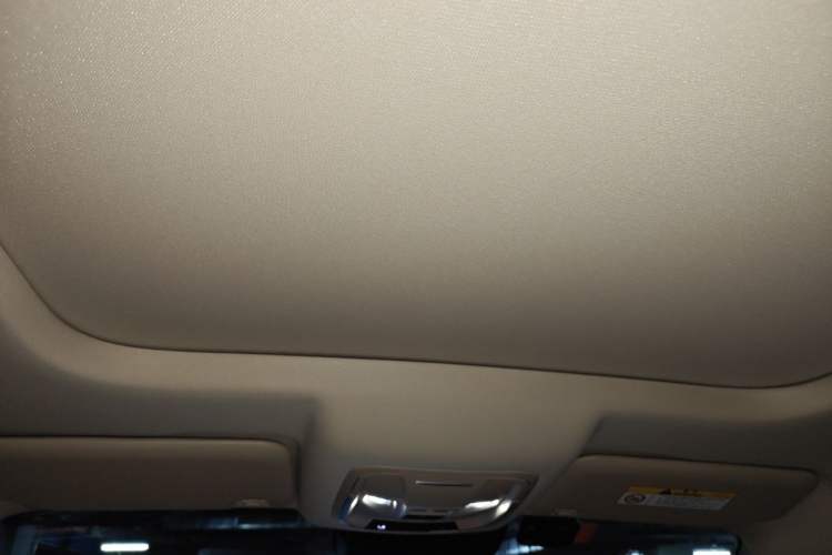 Used ORA Good Cat 2023 401 km Standard Range Premium Version Lithium Iron Phosphate Headliner