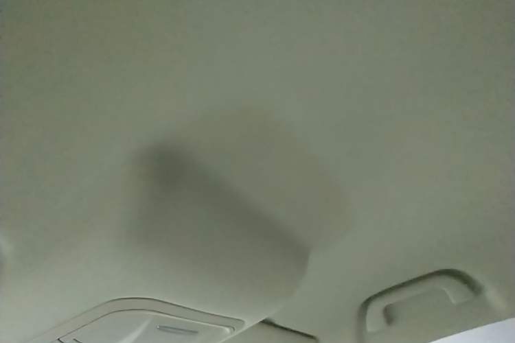 Used ORA Good Cat 2023 401 km Standard Range Comfort Version Lithium Iron Phosphate Headliner