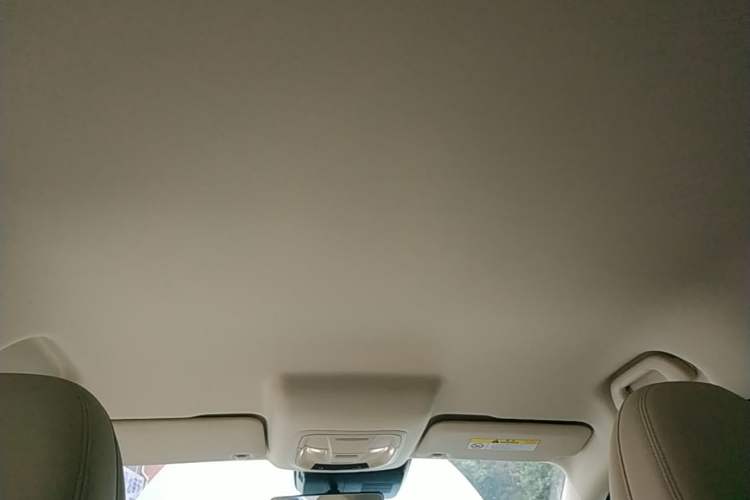 Used ORA Good Cat 2023 401 km Standard Range Luxury Version Lithium Iron Phosphate Headliner