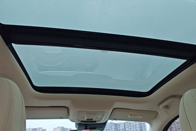 Used ORA Good Cat 2023 401 km Standard Range Premium Version Lithium Iron Phosphate Headliner