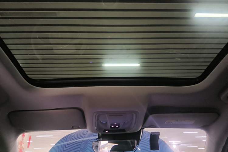 Used ORA Good Cat 2023 401 km Standard Range Premium Version Lithium Iron Phosphate Headliner