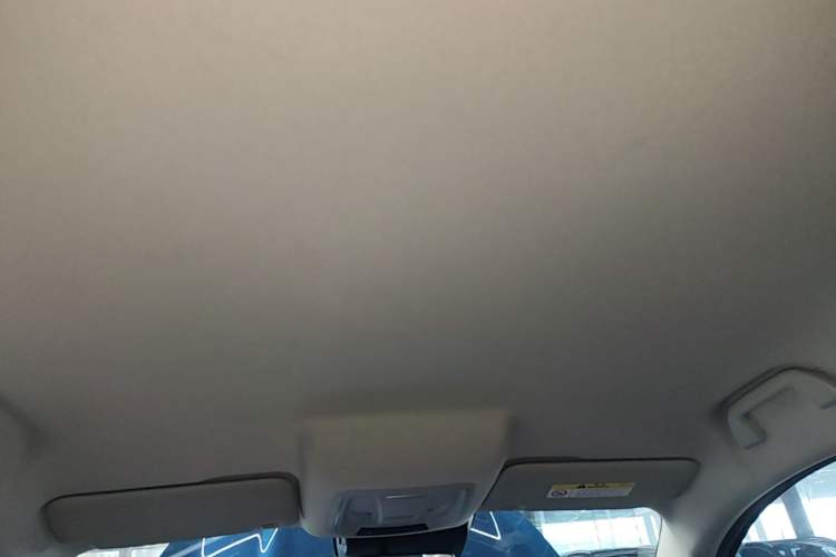 Used ORA Good Cat 2023 401 km Standard Range Luxury Version Lithium Iron Phosphate Headliner
