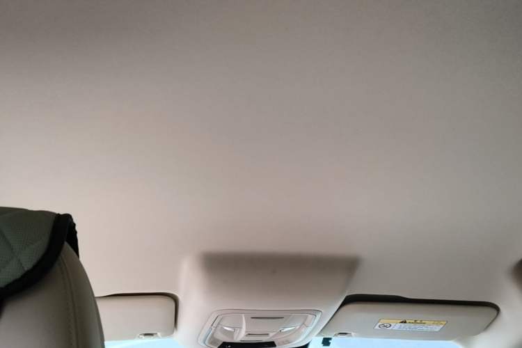 Used ORA Good Cat 2023 401 km Standard Range Luxury Version Lithium Iron Phosphate Headliner