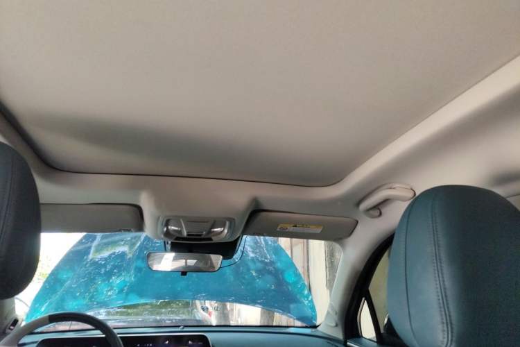 Used ORA Good Cat 2023 401 km Standard Range Premium Trim Ternary Lithium Headliner