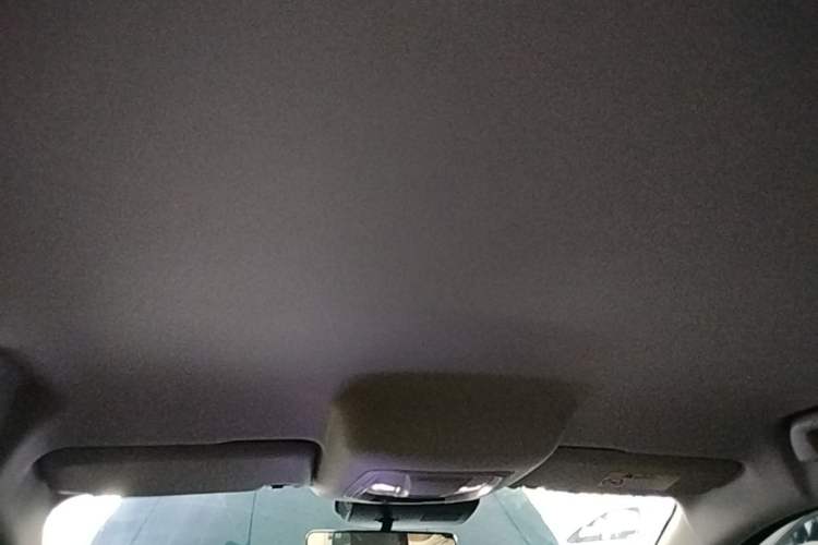 Used ORA Good Cat 2023 401 km Standard Range Comfort Version Lithium Iron Phosphate Headliner