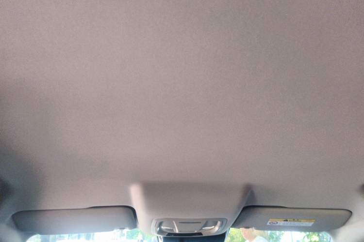 Used ORA Good Cat 2023 401 km Standard Range Luxury Version Lithium Iron Phosphate Headliner