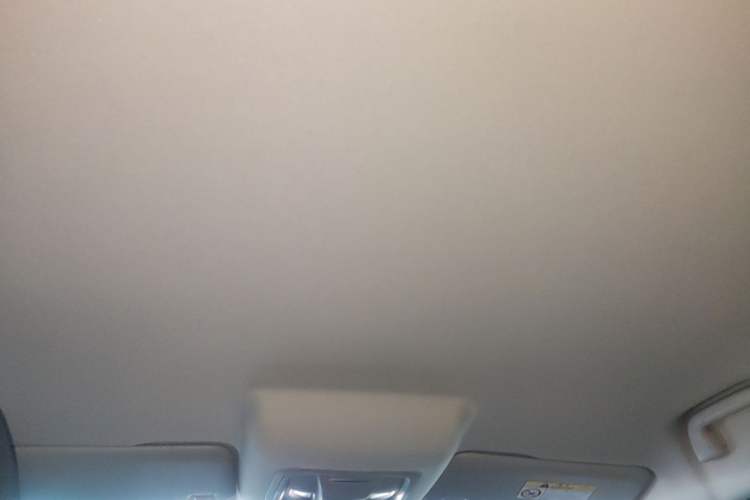 Used ORA Good Cat 2023 401 km Standard Range Comfort Version Lithium Iron Phosphate Headliner