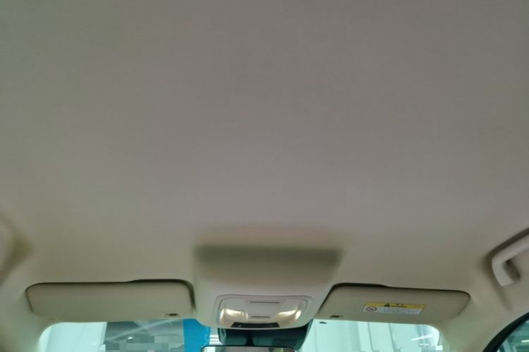Used ORA Good Cat 2023 401 km Standard Range Luxury Version Lithium Iron Phosphate Headliner