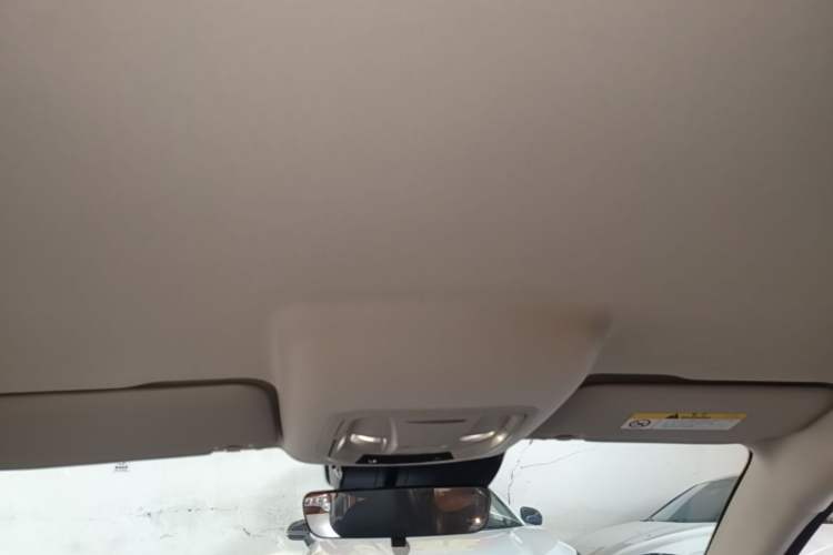 Used ORA Good Cat 2023 401 km Standard Range Luxury Version Lithium Iron Phosphate Headliner