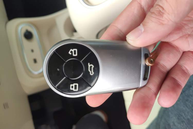 Used ORA Good Cat 2023 401 km Standard Range Luxury Version Lithium Iron Phosphate Interior 1