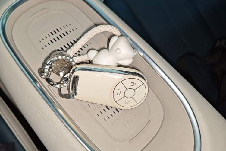 Used ORA Good Cat 2023 401 km Standard Range Premium Version Lithium Iron Phosphate Interior 1