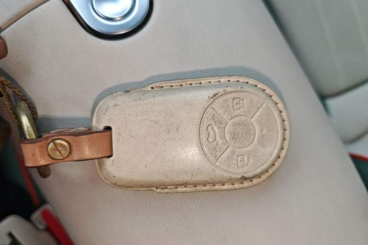 Used ORA Good Cat 2023 401 km Standard Range Premium Version Lithium Iron Phosphate Interior 1
