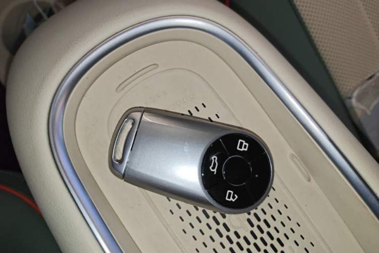 Used ORA Good Cat 2023 401 km Standard Range Luxury Version Ternary Lithium Interior 1
