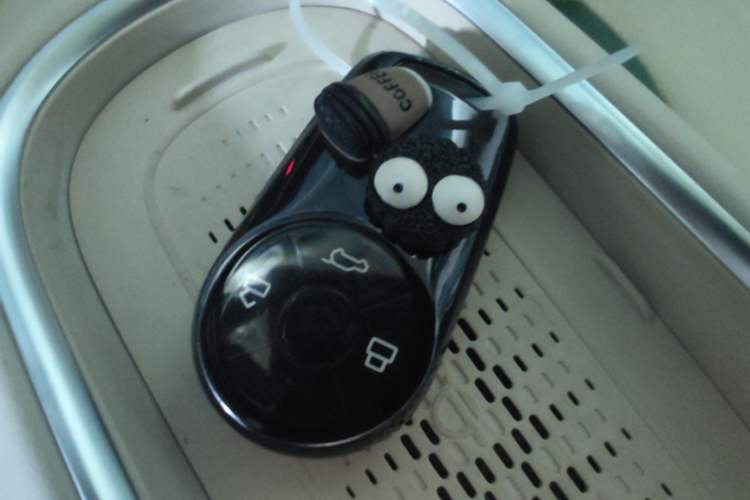Used ORA Good Cat 2023 401 km Standard Range Luxury Version Lithium Iron Phosphate Interior 1