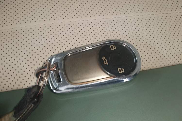 Used ORA Good Cat 2023 401 km Standard Range Premium Version Lithium Iron Phosphate Interior 1