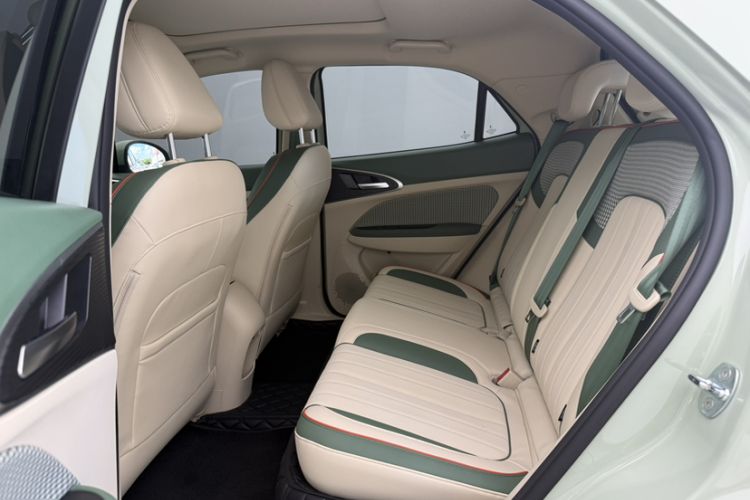 Used ORA Good Cat 2023 401 km Standard Range Luxury Version Ternary Lithium Interior 3