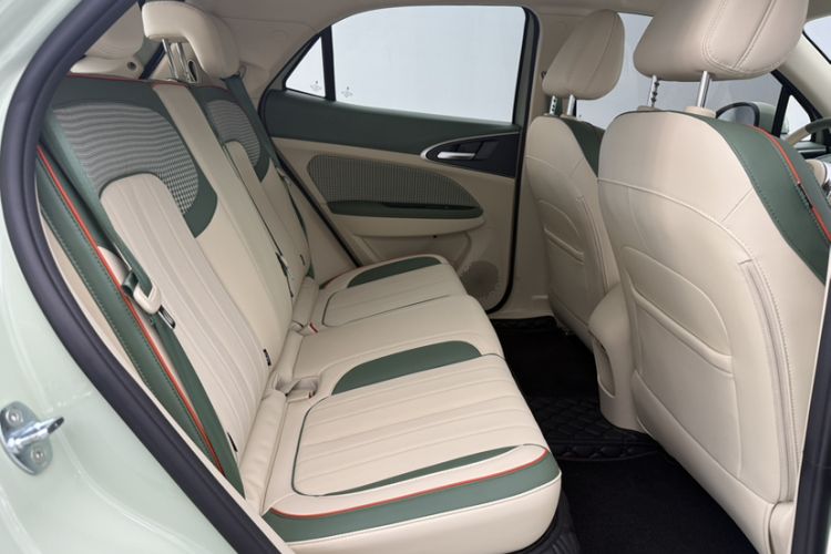 Used ORA Good Cat 2023 401 km Standard Range Luxury Version Ternary Lithium Interior 4