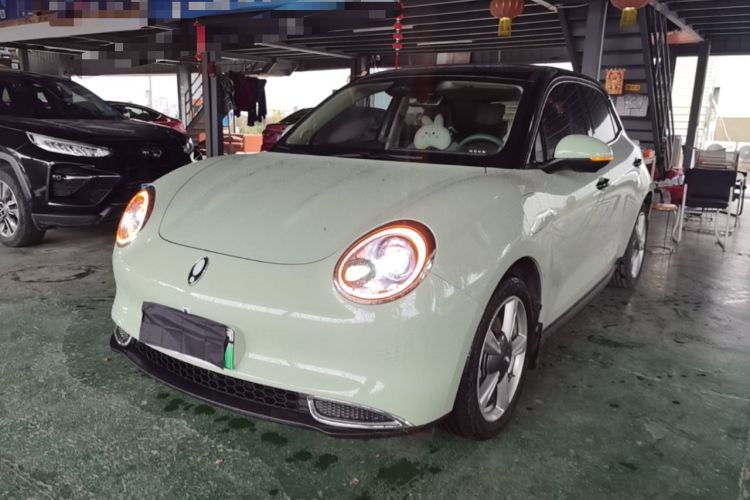 Used ORA Good Cat 2023 401 km Standard Range Luxury Version Lithium Iron Phosphate Guazi used car, China used car export, Used car for sale, Used ORA cars, Cheapest cars for sale, Electric vehicle, New energy car
