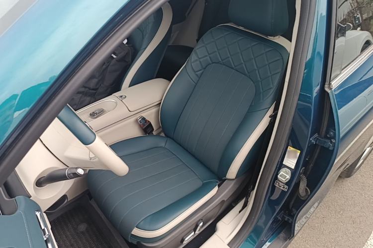 Used ORA Good Cat 2023 401 km Standard Range Luxury Version Lithium Iron Phosphate Left Front Seat