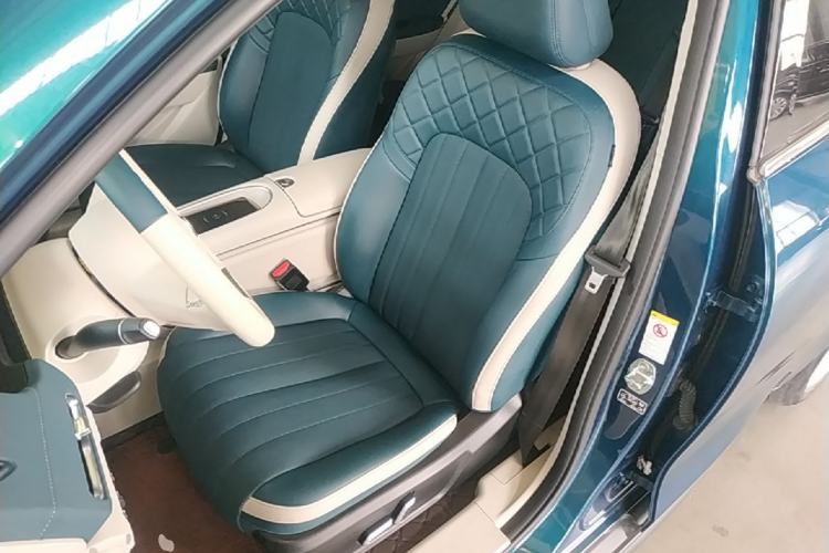 Used ORA Good Cat 2023 401 km Standard Range Premium Version Lithium Iron Phosphate Left Front Seat