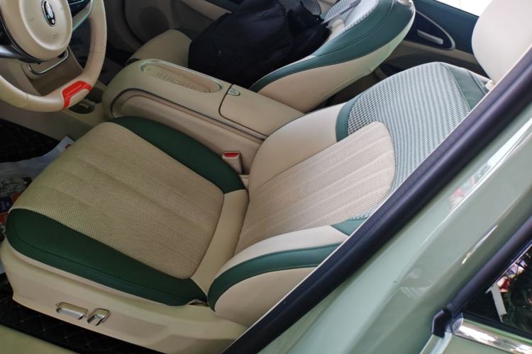 Used ORA Good Cat 2023 401 km Standard Range Premium Version Lithium Iron Phosphate Left Front Seat