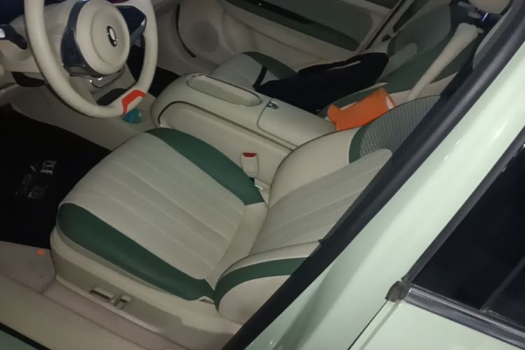 Used ORA Good Cat 2023 401 km Standard Range Premium Version Lithium Iron Phosphate Left Front Seat