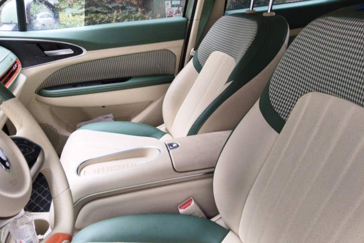 Used ORA Good Cat 2023 401 km Standard Range Luxury Version Lithium Iron Phosphate Left Front Seat