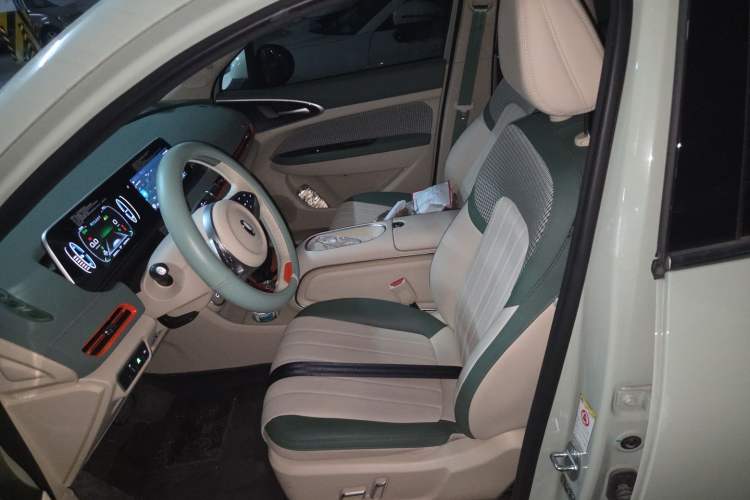 Used ORA Good Cat 2023 401 km Standard Range Luxury Version Lithium Iron Phosphate Left Front Seat