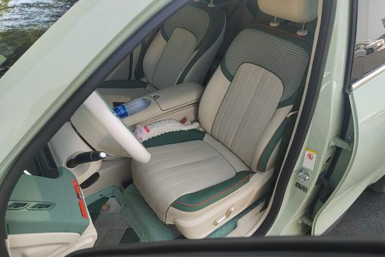 Used ORA Good Cat 2023 401 km Standard Range Premium Trim Ternary Lithium Left Front Seat