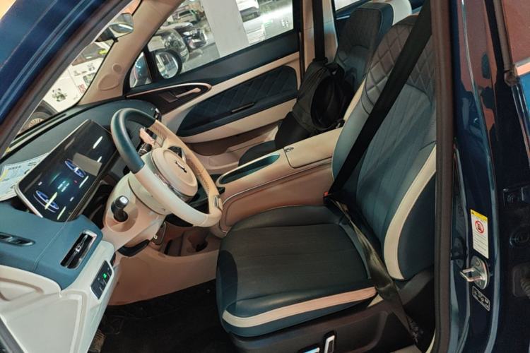 Used ORA Good Cat 2023 401 km Standard Range Luxury Version Lithium Iron Phosphate Left Front Seat